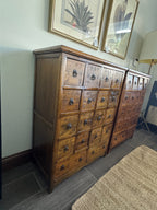 Antique 19th Century Chinese Herbal Apothecary/Medicine Cabinet