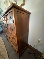 Antique 19th Century Chinese Herbal Apothecary/Medicine Cabinet