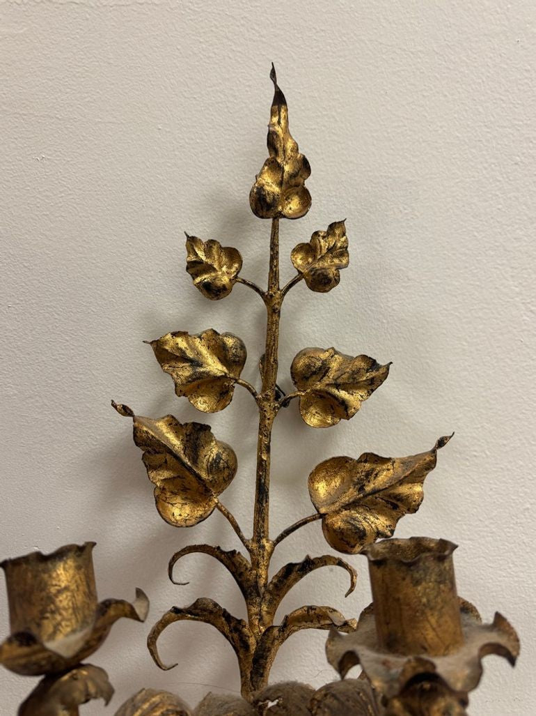 Antique Italian Wall Sconce Candelabra with Gilt Gold Leaf Motif for Five Candles, c. 1920