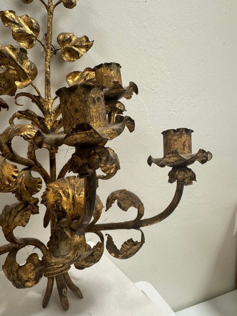 Antique Italian Wall Sconce Candelabra with Gilt Gold Leaf Motif for Five Candles, c. 1920