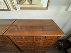 Antique 19th Century Chinese Herbal Apothecary/Medicine Cabinet
