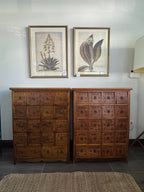 Antique 19th Century Chinese Herbal Apothecary/Medicine Cabinet