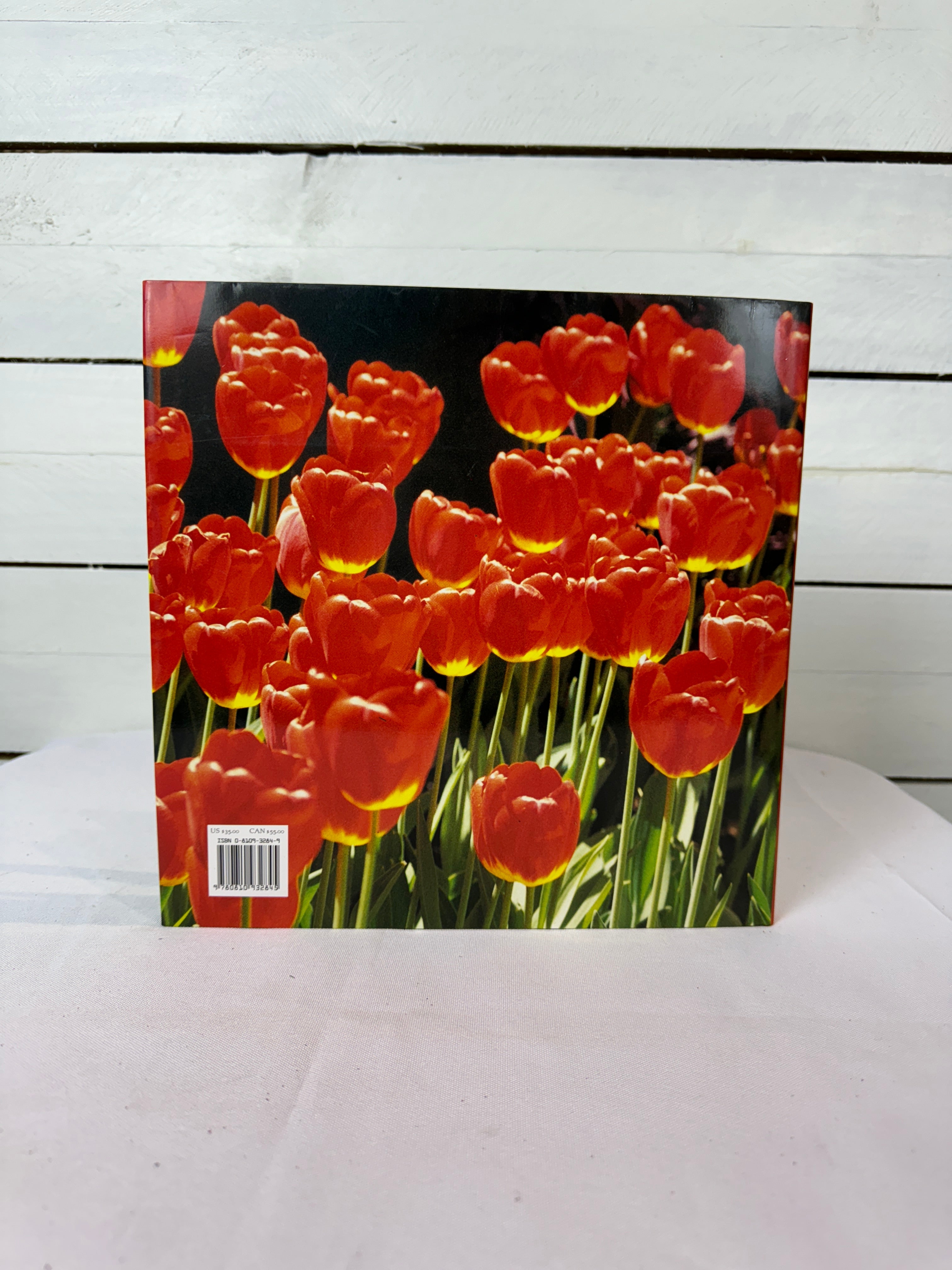 An Eye for Beauty by Evelyn Lauder