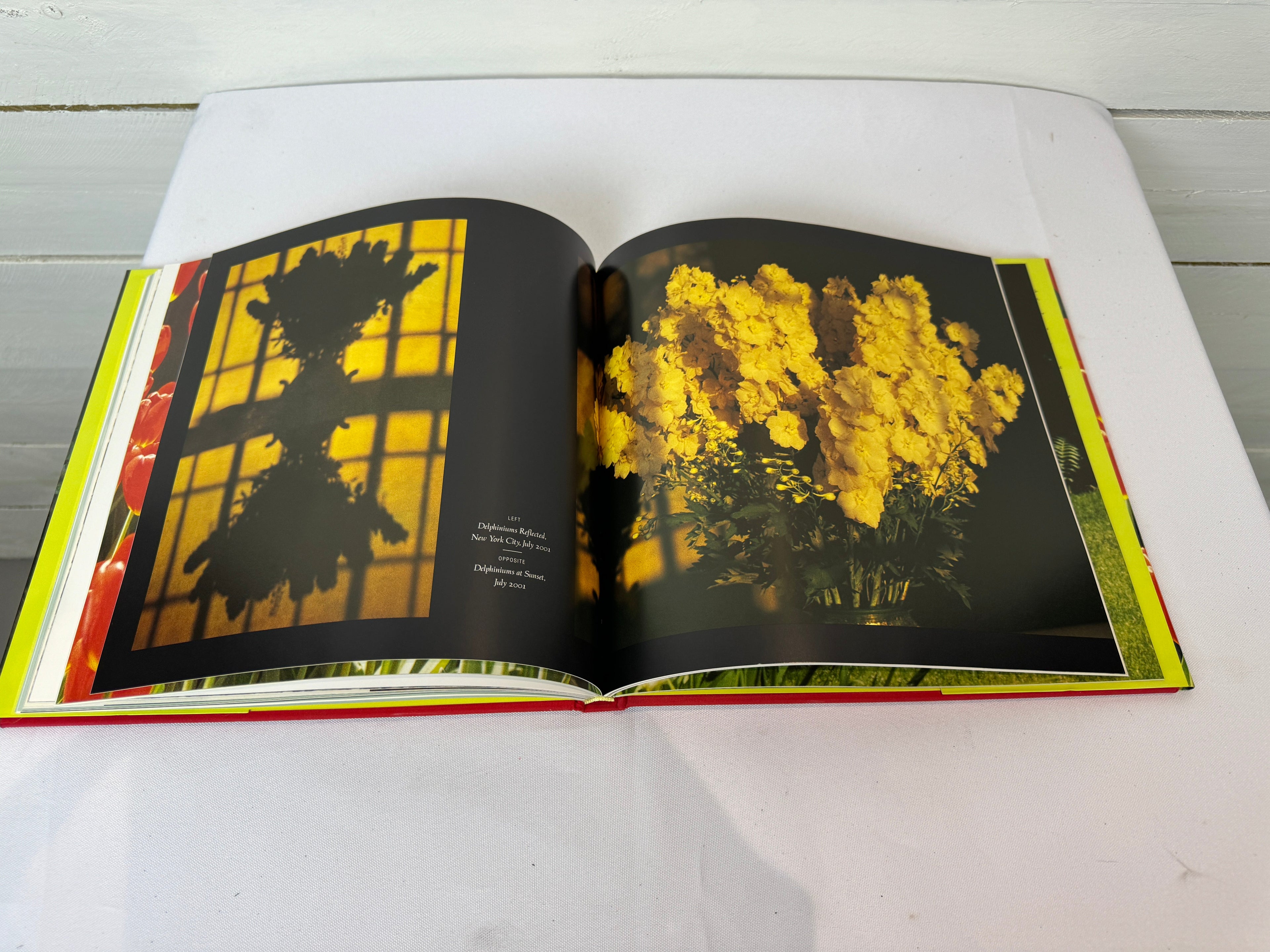 An Eye for Beauty by Evelyn Lauder