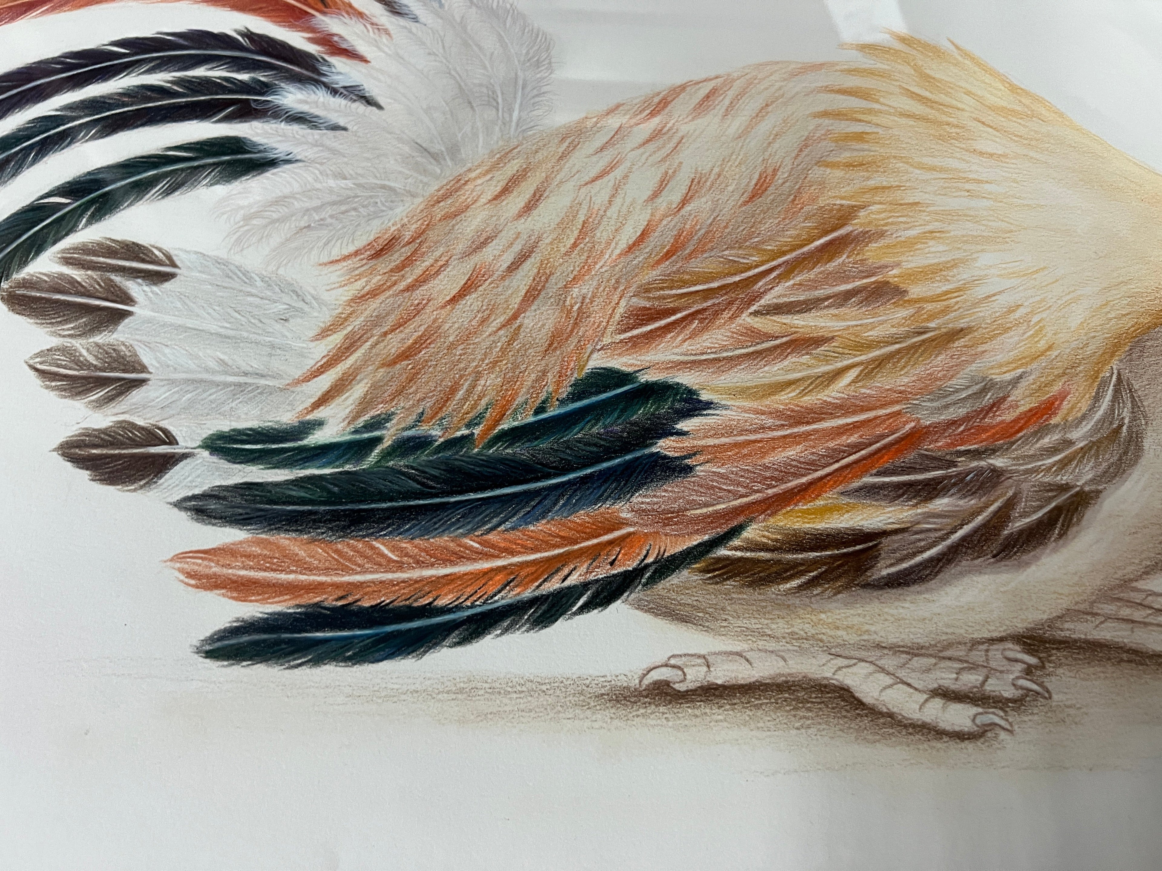 Roosters / Gallos by Jose Chiu - Original Art, Signed by Artist