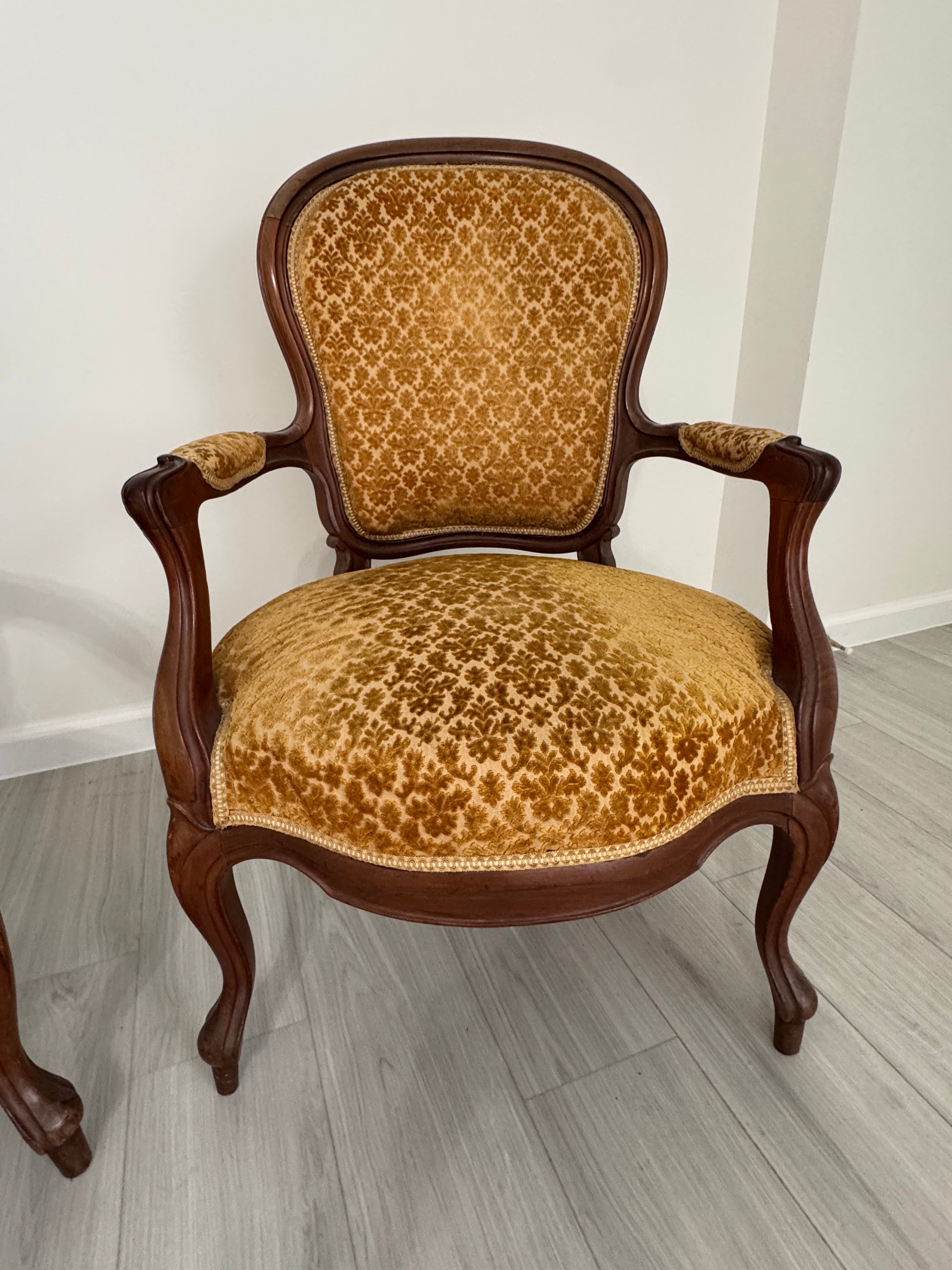 Vintage Louis XV Style Arm Chairs in Velvety Damask Upholstery - A Pair