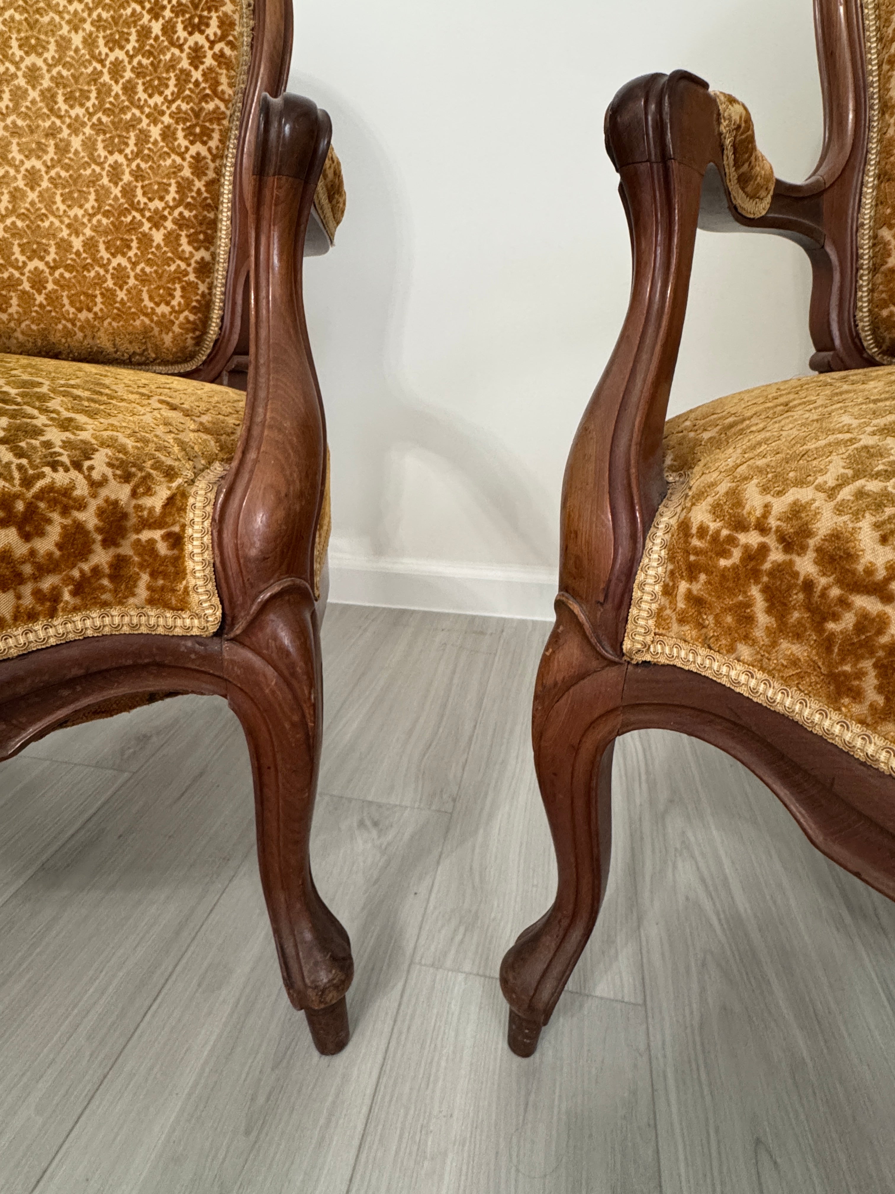 Vintage Louis XV Style Arm Chairs in Velvety Damask Upholstery - A Pair
