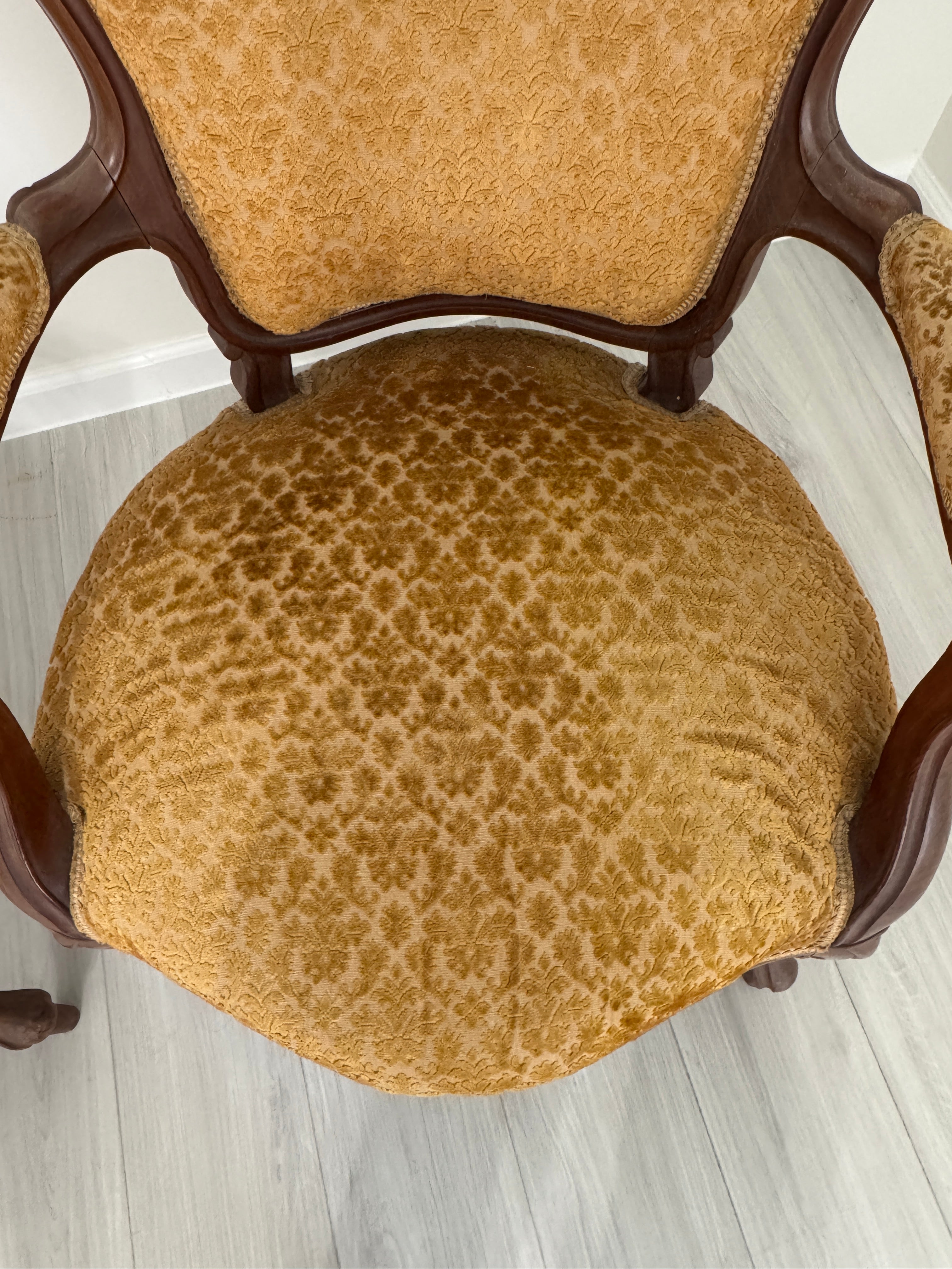 Vintage Louis XV Style Arm Chairs in Velvety Damask Upholstery - A Pair