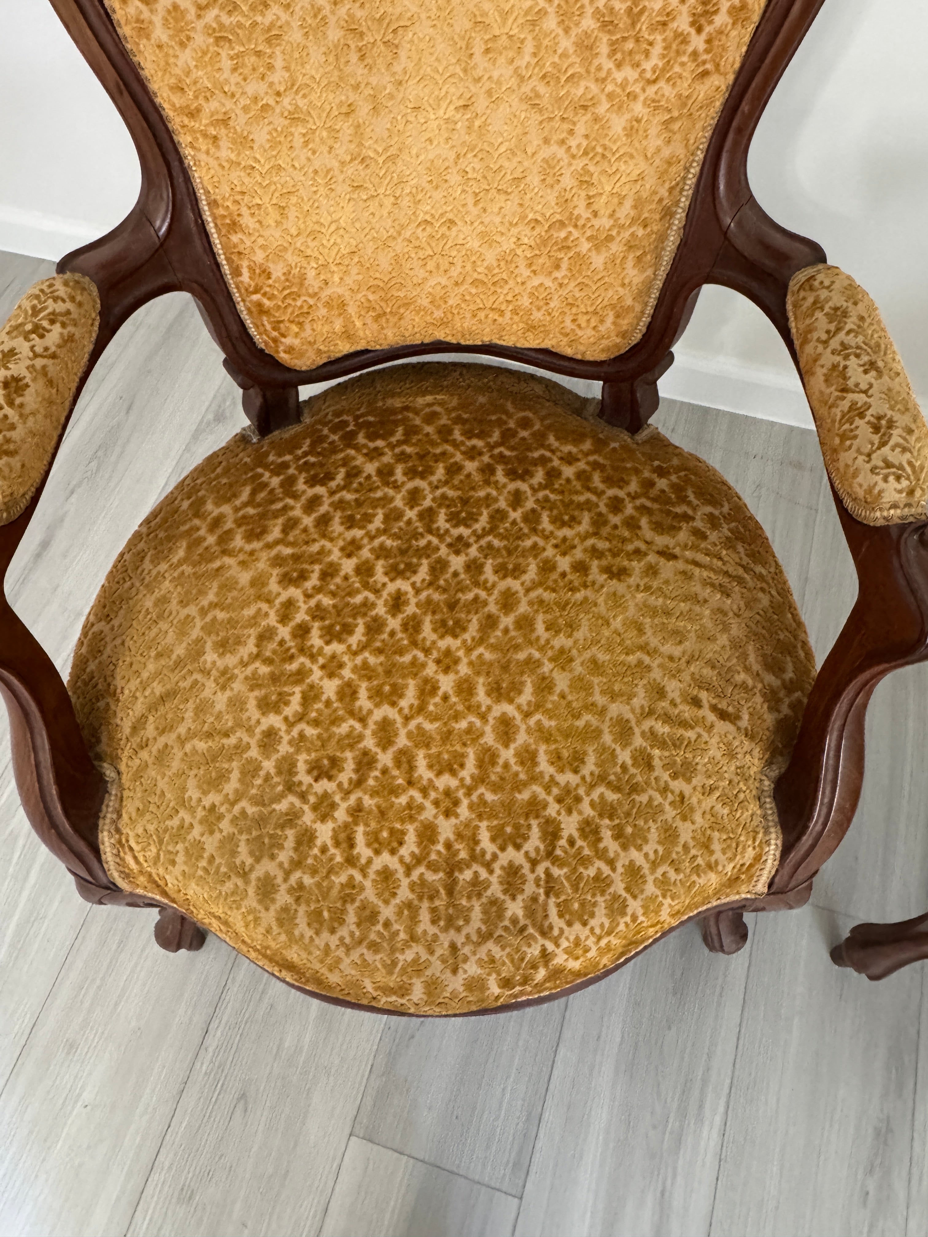 Vintage Louis XV Style Arm Chairs in Velvety Damask Upholstery - A Pair
