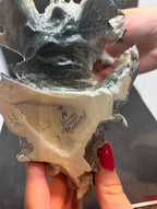 Capodimonte Visconti Mollica Glossy Porcelain Schnauzer/Scottish Terrier Dog Figurine