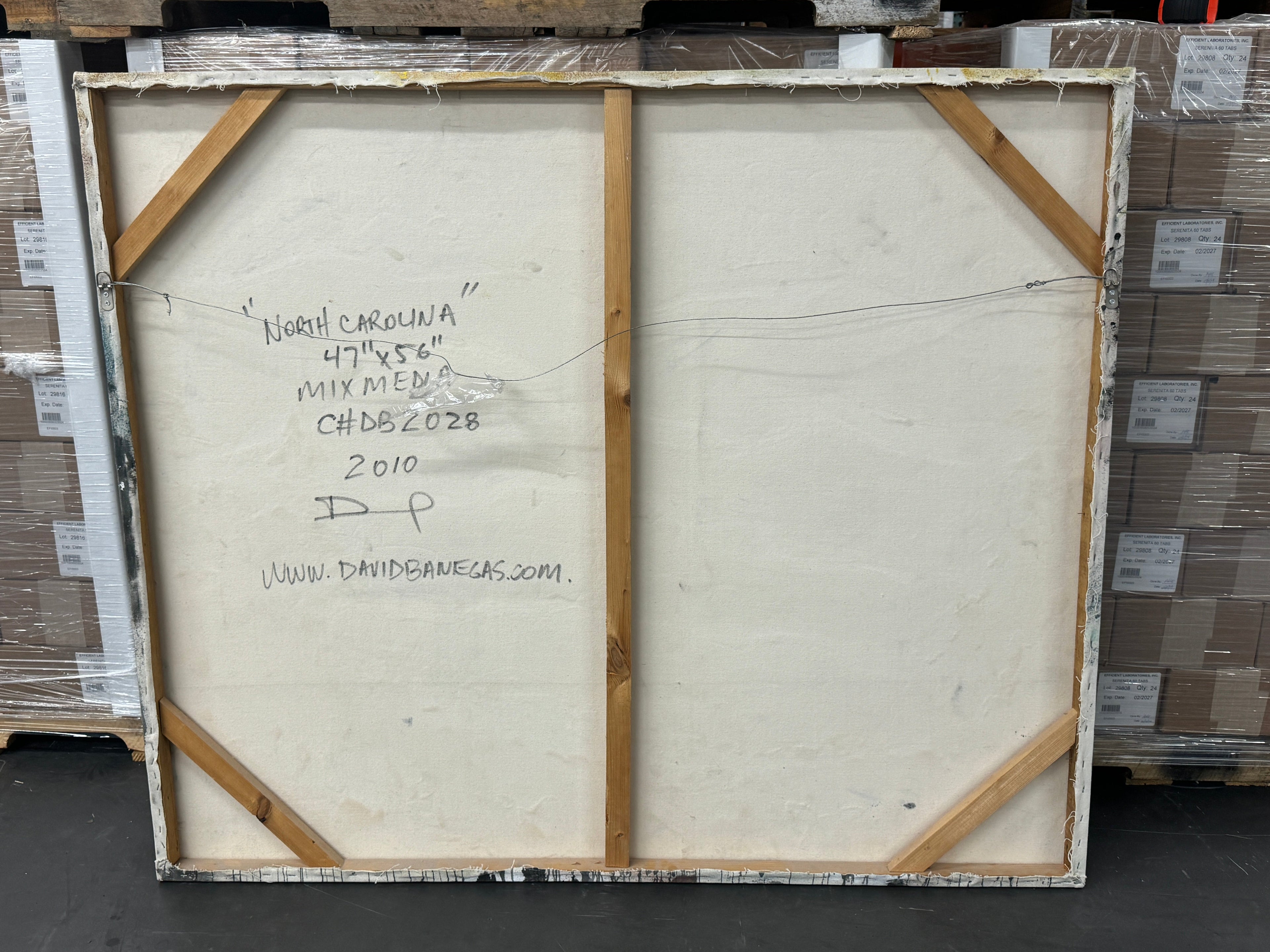 "North Carolina" by David "Dalo" Banegas, Signed - Authentic Original Acrylic on Canvas