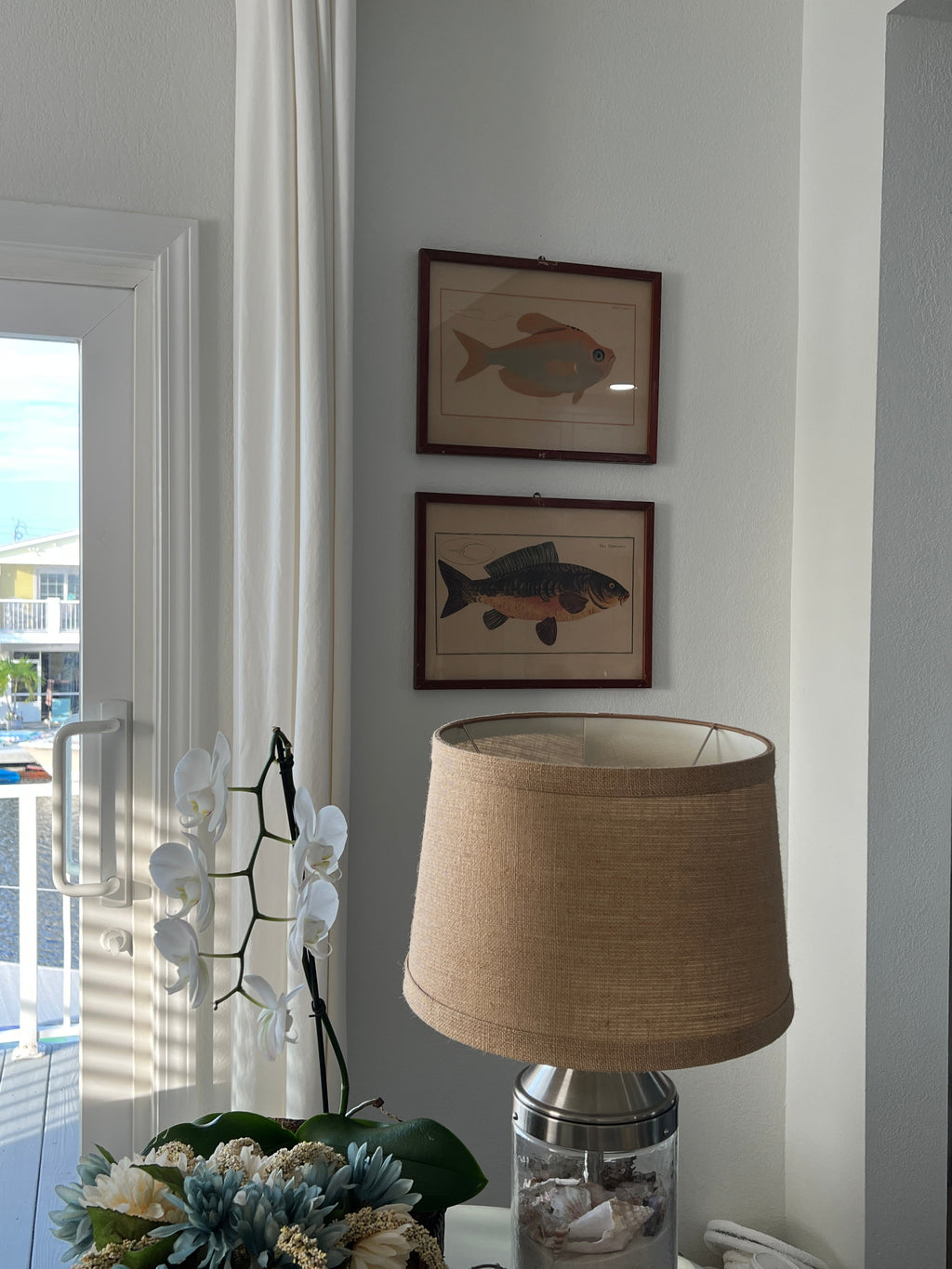 Vintage Fish Prints - Sold Separately - Choose Variations Below