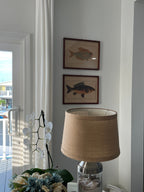 Vintage Fish Prints - Sold Separately - Choose Variations Below