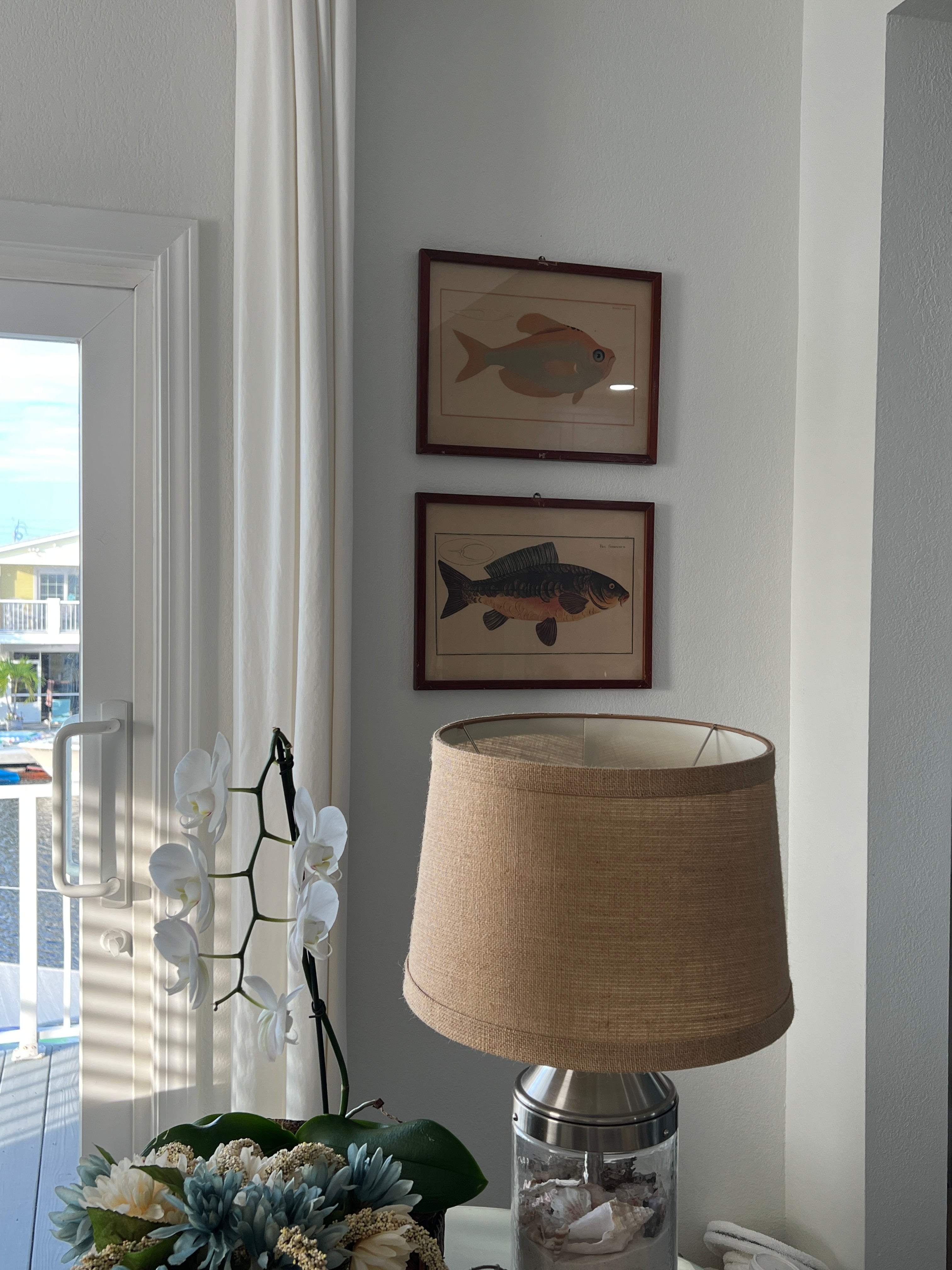 Vintage Fish Prints - Sold Separately - Choose Variations Below