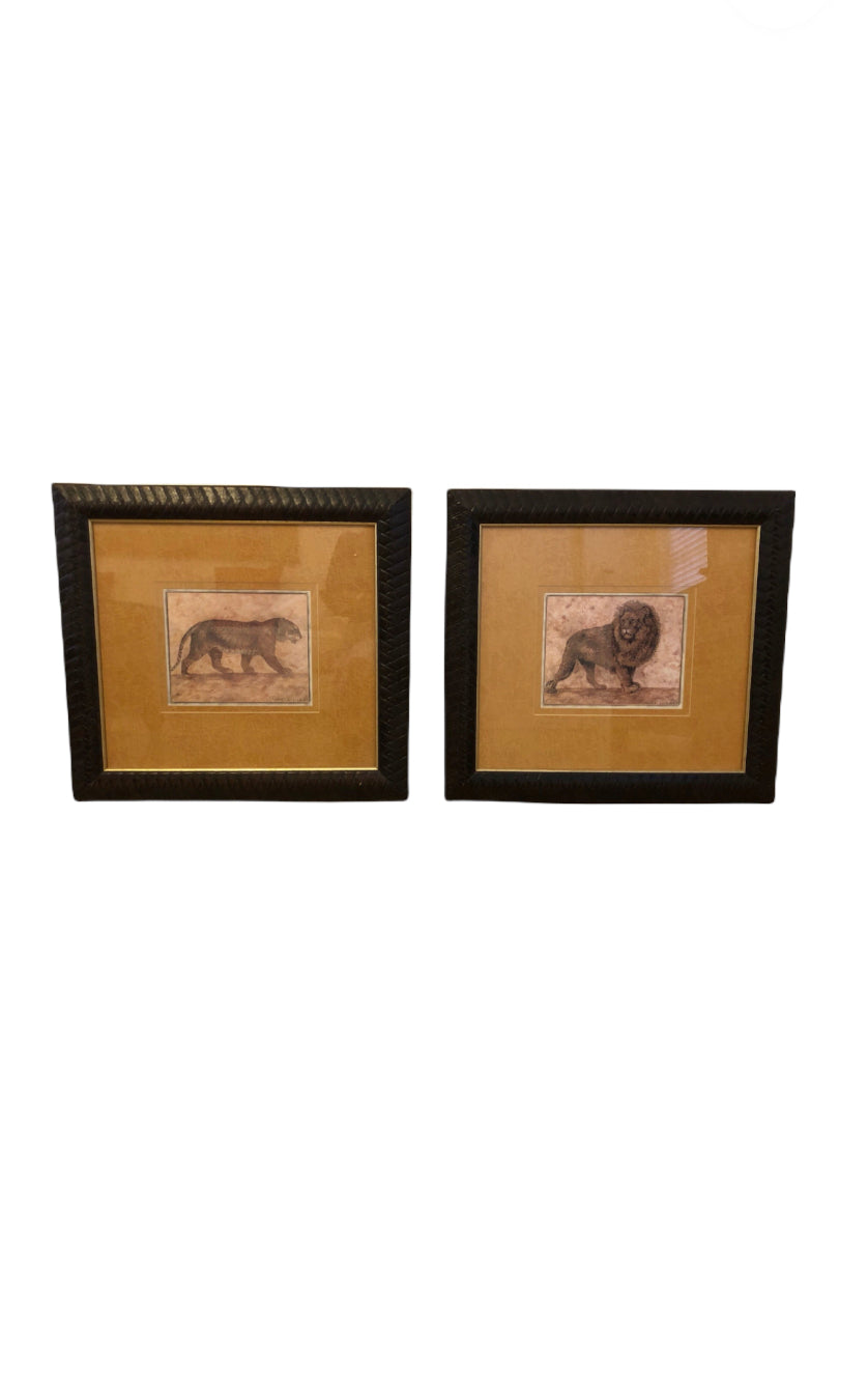 Safari Wildlife Prints by Pamela Glada - A Pair