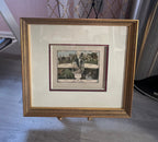 Photographs of Cuban Landscapes - Agricultural Fields of the 1950s