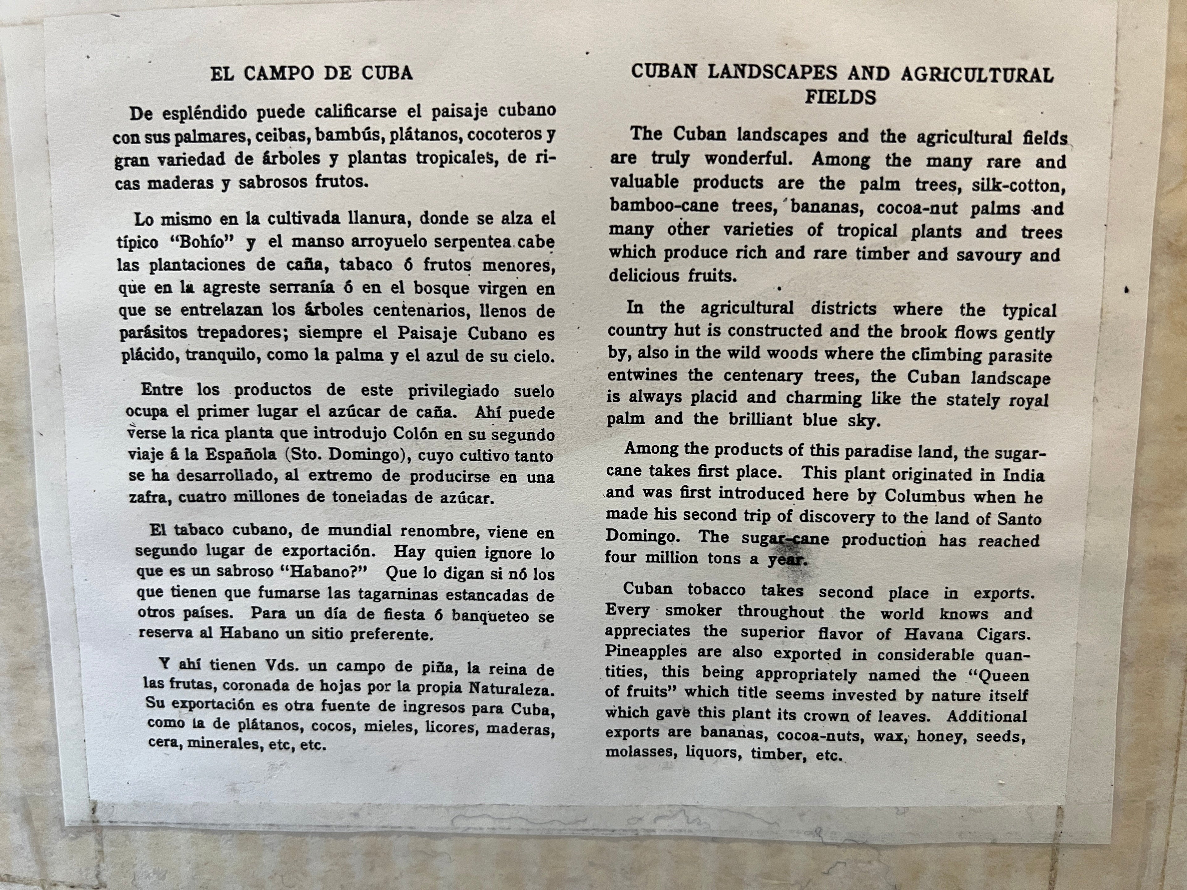 Photographs of Cuban Landscapes - Agricultural Fields of the 1950s