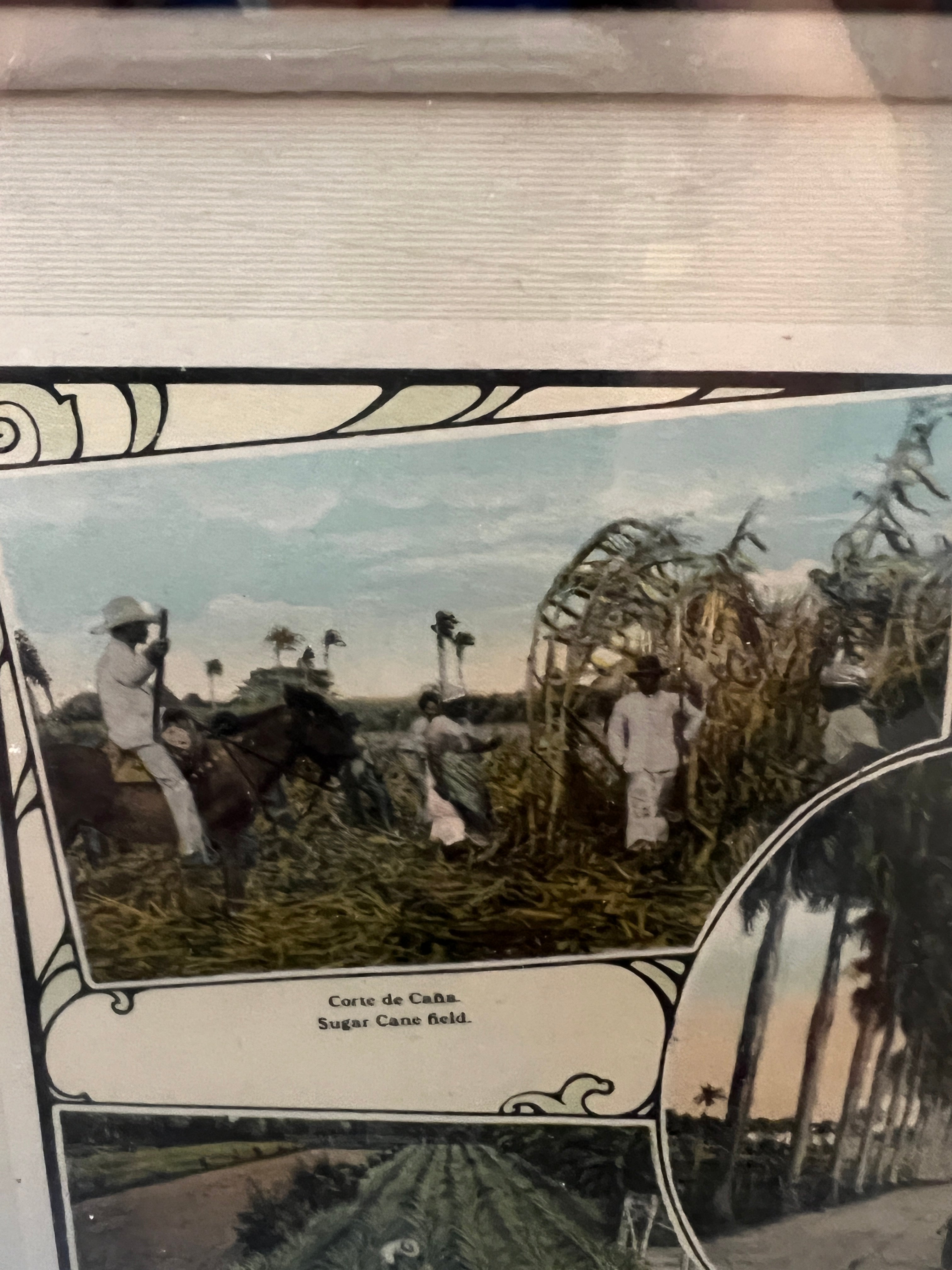 Photographs of Cuban Landscapes - Agricultural Fields of the 1950s